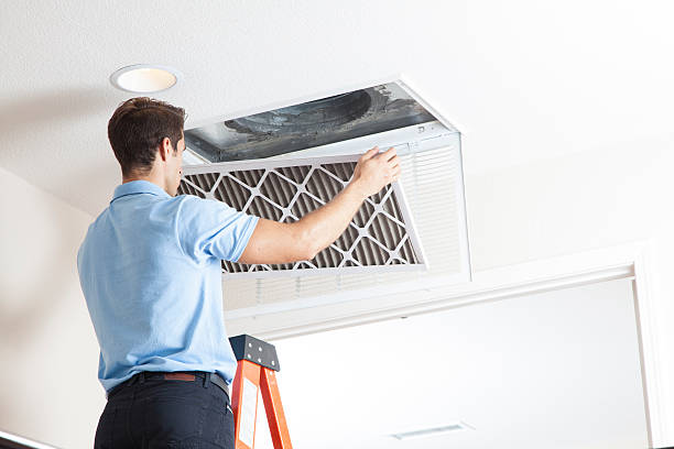 Best HVAC tune-up services  in Waverly, MI